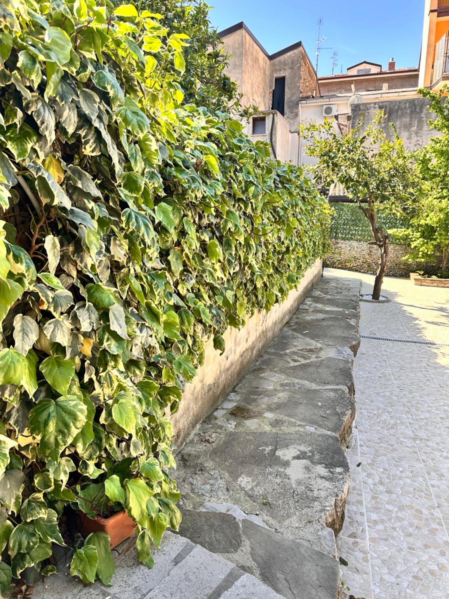 La Terrazza Villa Sapri Exteriör bild